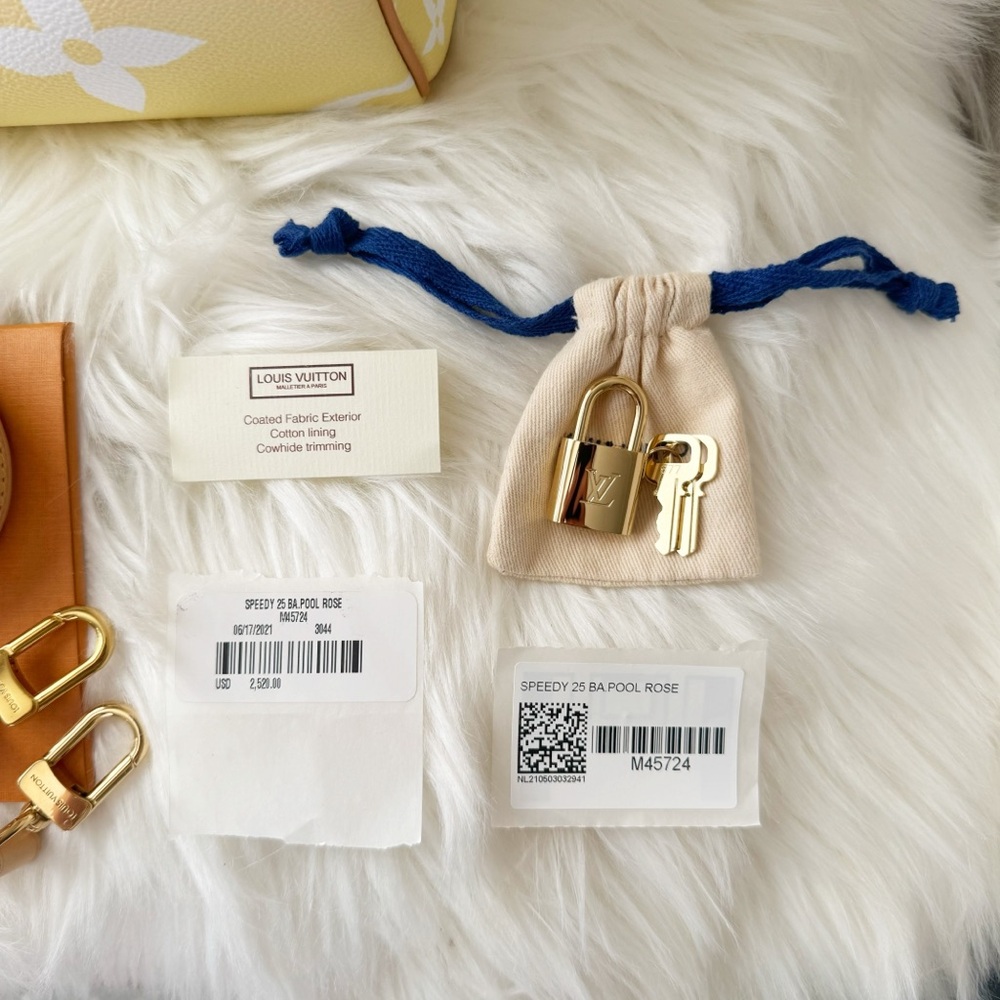 NIB Louis Vuitton Speedy 25 By The Pool Bandouliere Crossbody Special Edition - Picture 12 of 16